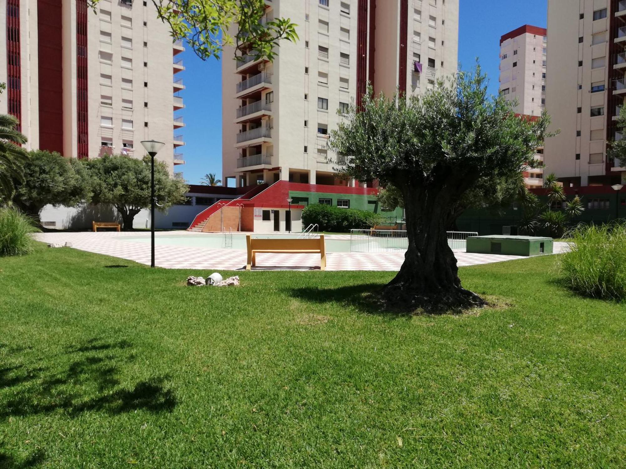 Danio Solo Familia Serviplaya Playa de Gandia Exterior foto